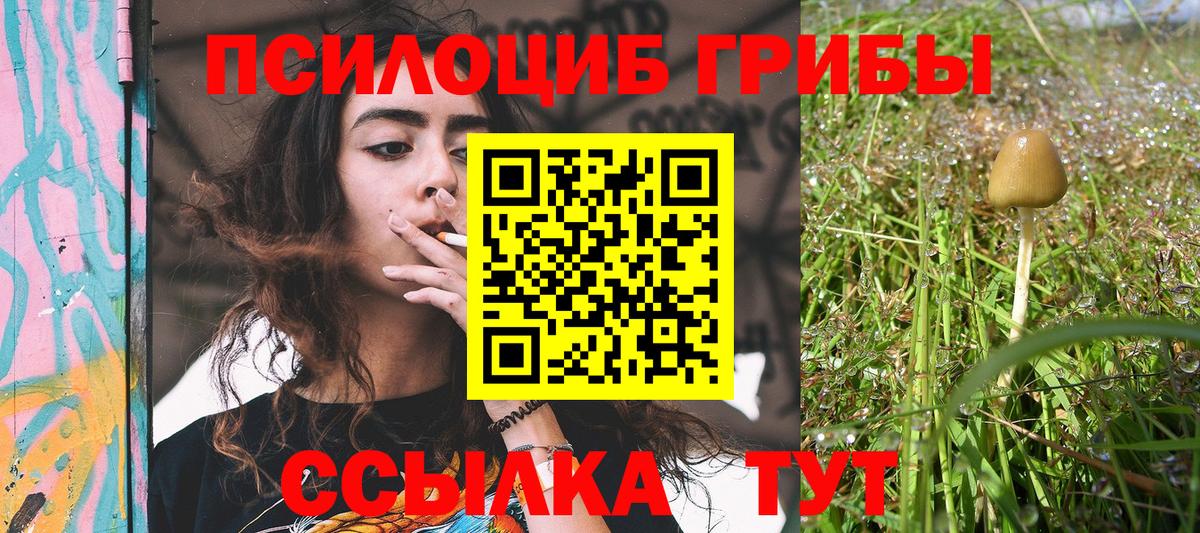 Галлюциногенные грибы ЛСД  Вход с VPN  Майский  Псилоцибиновые грибы GOLDEN TEACHER 
