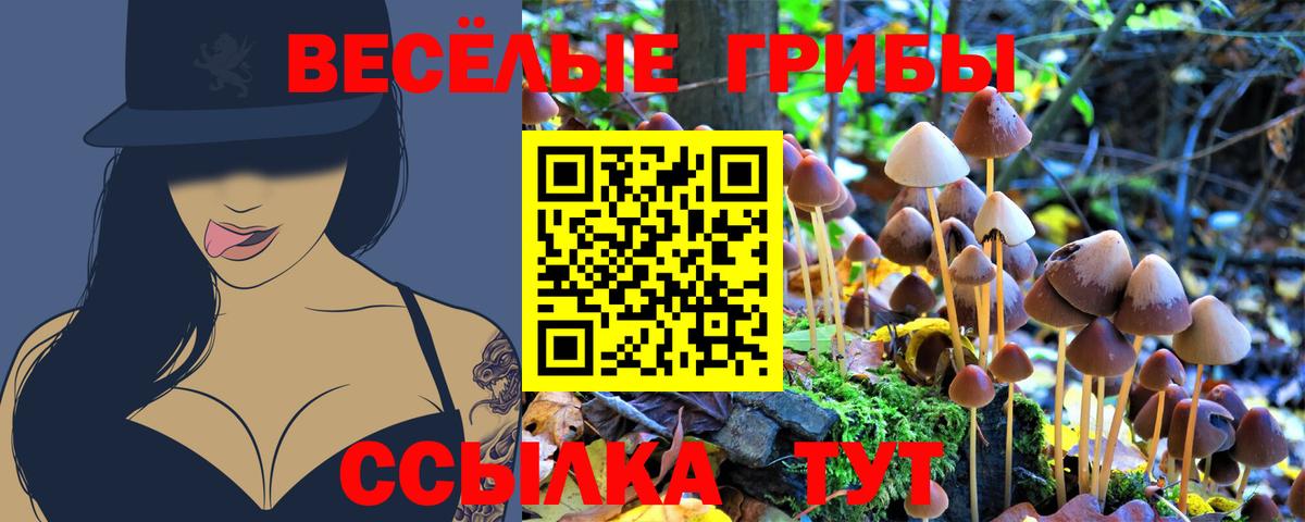 Псилоцибиновые грибы Psilocybe Майский